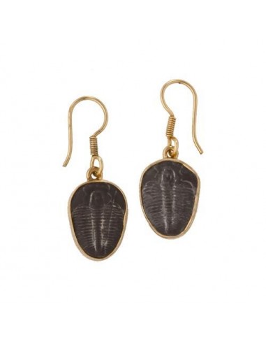 Alchemia Trilobite Drop Earrings s'inspire de l'anatomie humaine