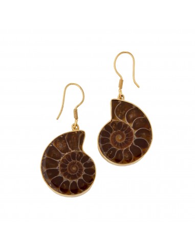 Alchemia Ammonite Earrings Livraison rapide