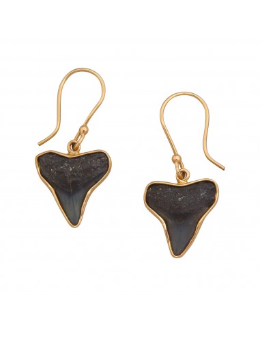 Alchemia Fossil Shark Teeth Drop Earrings offre 