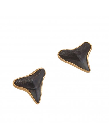 Alchemia Fossil Shark Teeth Post Earrings sélection de produits