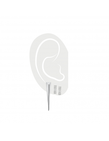 EAR NEEDLE PARTY SILVER SET- 3 & 2 HOLES offre 